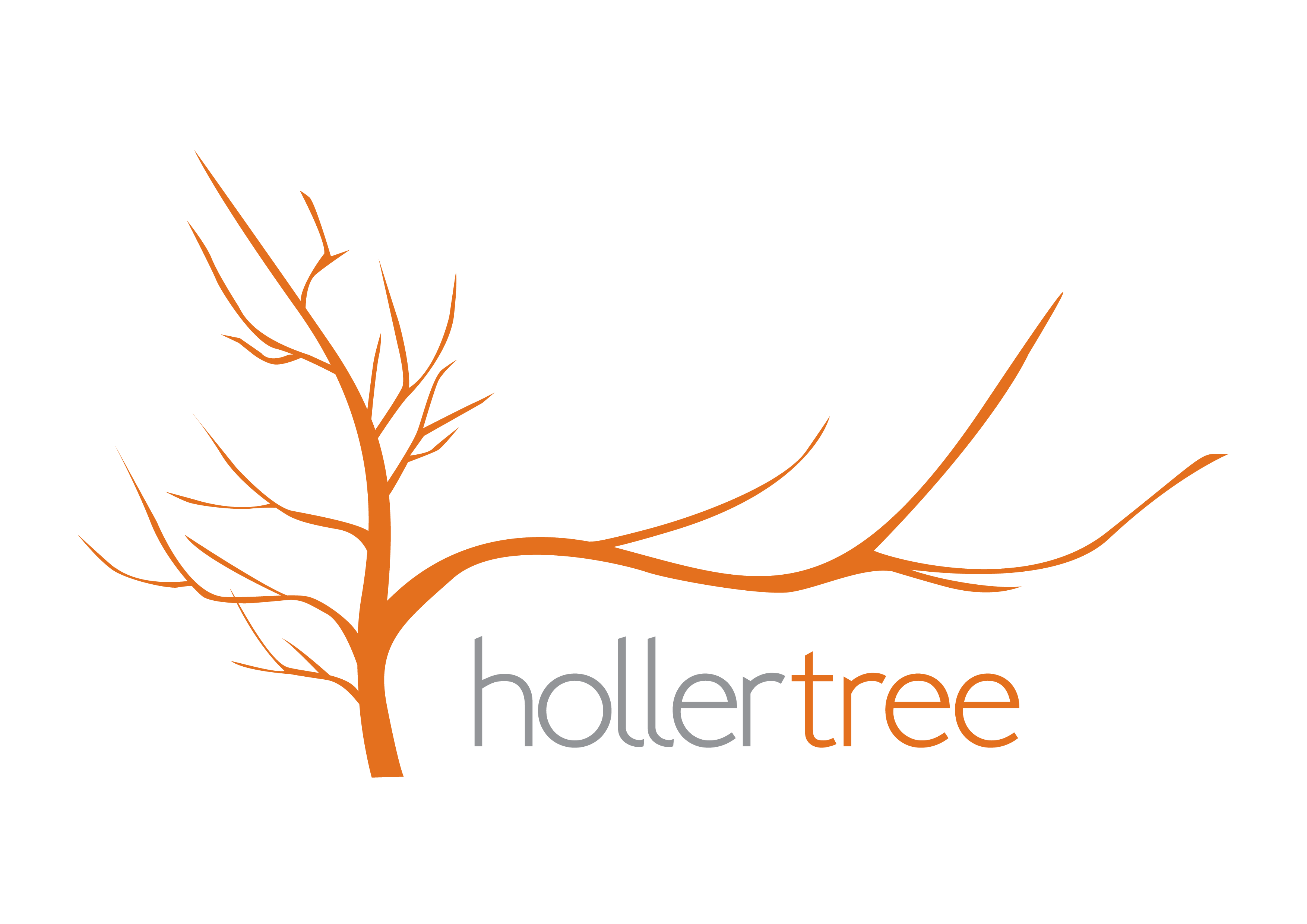 Holler Tree